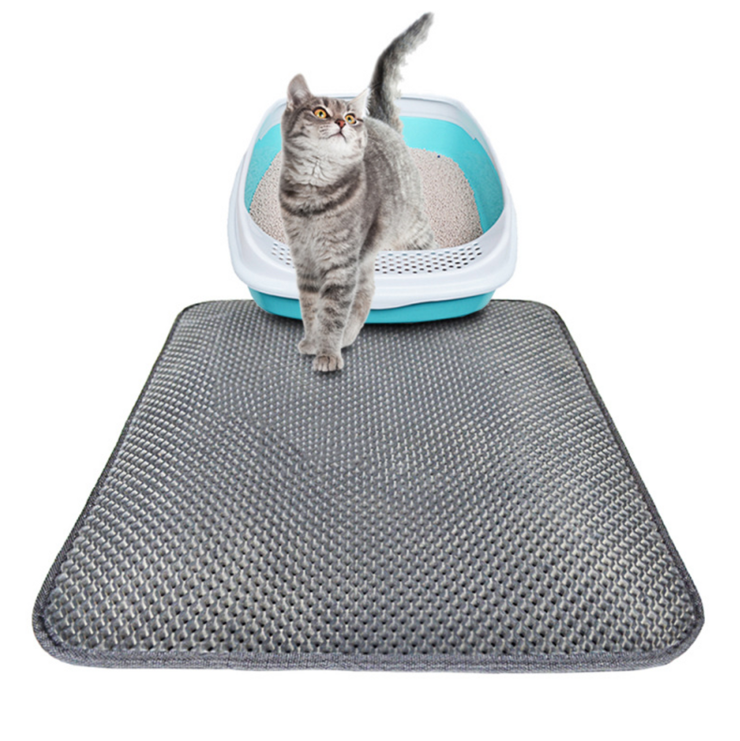 Double Layers Cat Litter Pads EVA Pet Litter Mat for House Cleaning